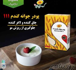 خرید پودر جوانه گندم