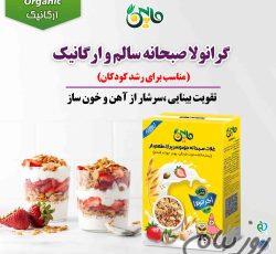 خرید گرانولا مناسب برای کودک