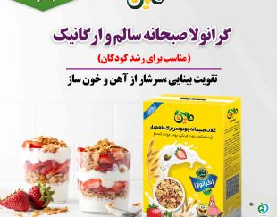 خرید گرانولا مناسب برای کودک