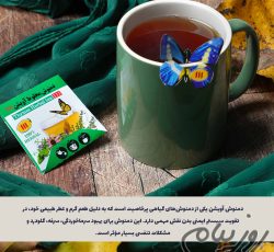 دمنوش آویشن